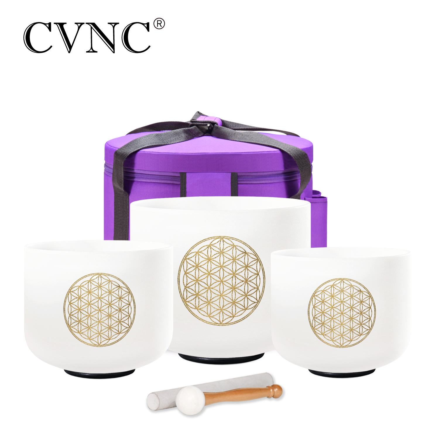 CVNC 8