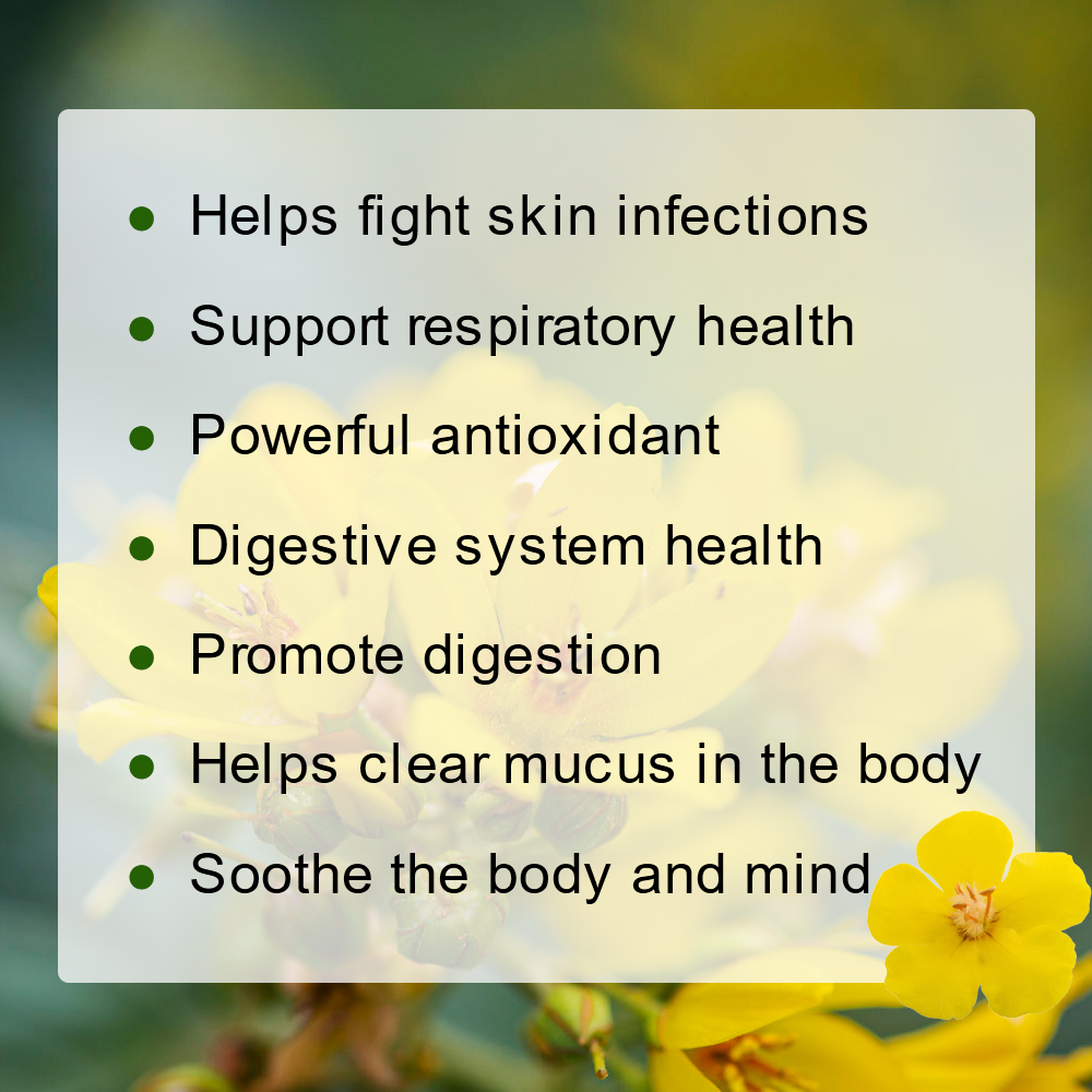 Herbal Tea for Respiratory Sup - Health With Wellness incelemesi ve fiyatı