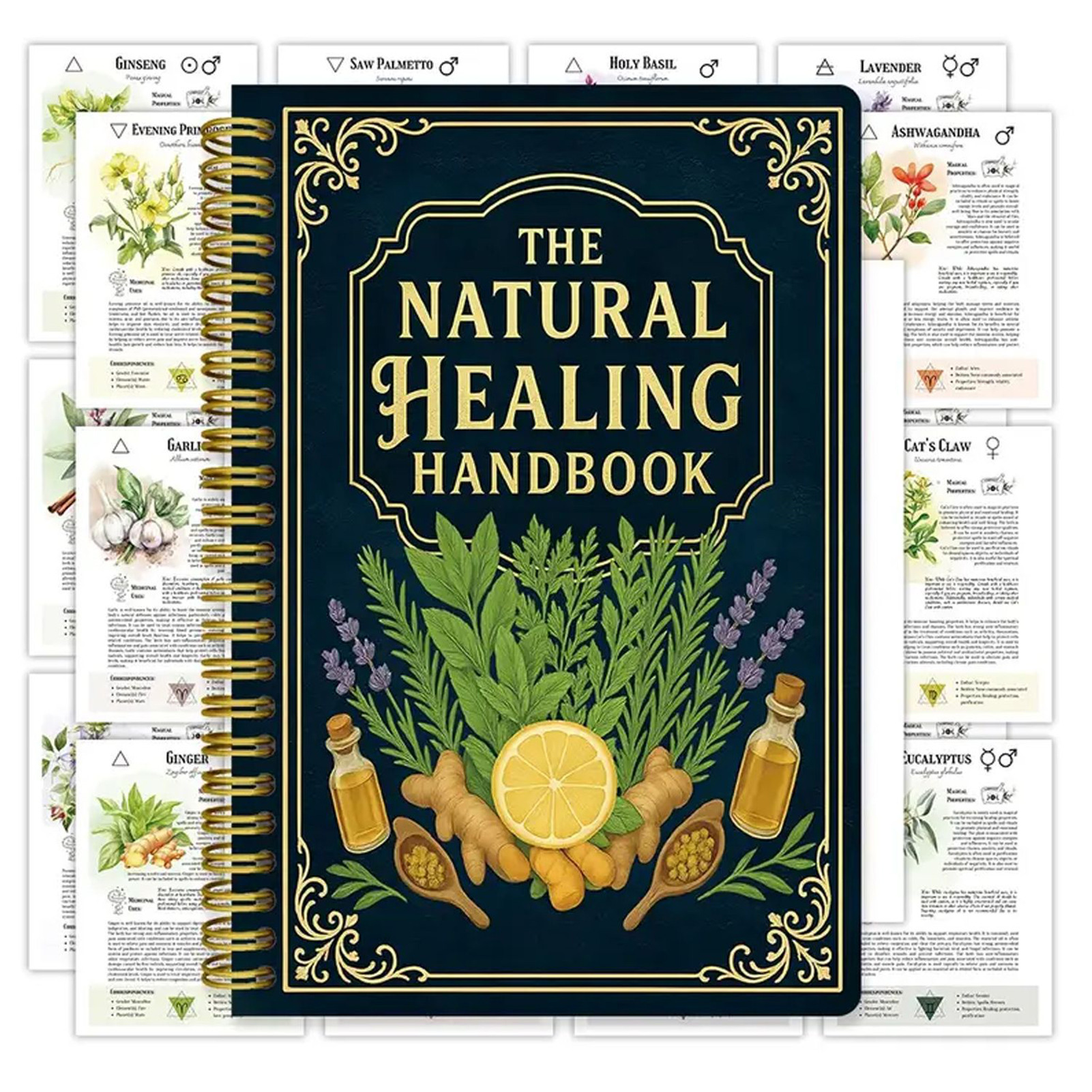 Natural Therapy Handbook, an E - Health & Wellness Nurse Coach incelemesi ve fiyatı